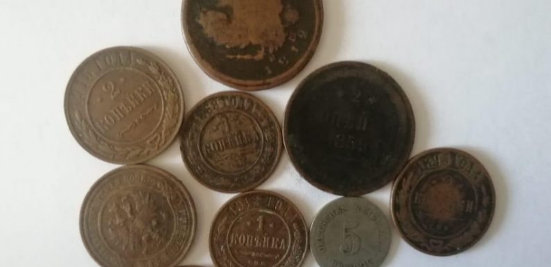 У ямпільського нумізмата вкрали колекцію монет