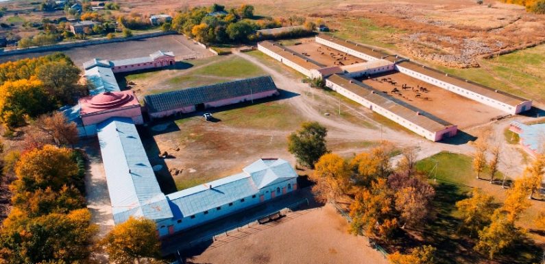 З часів Катерини ІІ: на Луганщині діє найстаріший кінний завод України