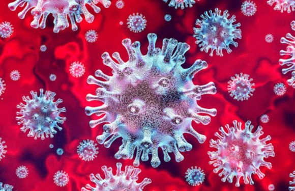 Від ускладнень коронавірусної хвороби померло ще двоє мешканців Ямпільського району