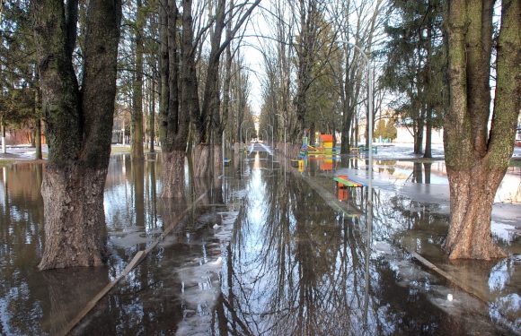 В Ямполі серед зими затопило центральний парк (фоторепортаж)