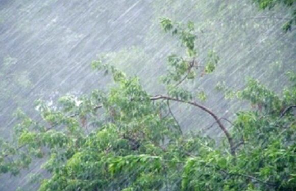 «І рівень небезпеки»: синоптики попереджають про дощі, грози та сильні пориви вітру