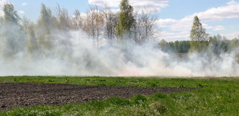 На околиці Ямполя невідомі підпалили суху траву (фоторепортаж)