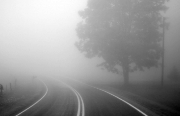 В найближчу годину на Сумщині прогнозують густий туман