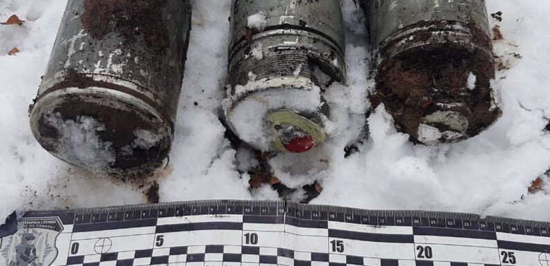 В лісі на Сумщині виявили три фрагменти некерованих авіаційних ракет, які застрягли у ґрунті ще весною