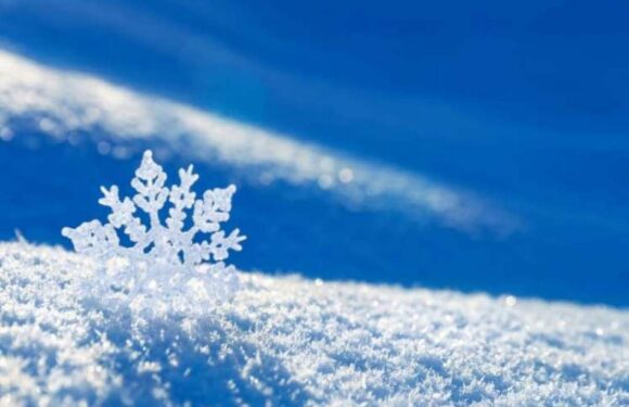 На метеостанції в місті Дружба зафіксували сніговий покрив в 9 см