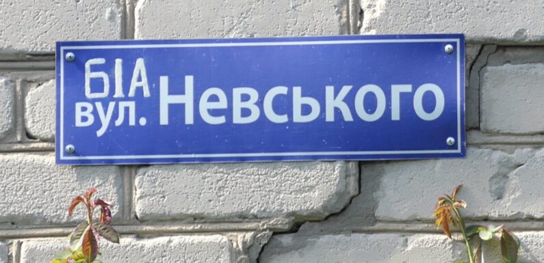 Вулицю Невського в Імшані пропонують перейменувати на Озерну, вулицю Макаренка у Воздвиженському – на Солов’їну