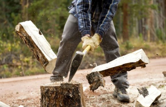 🔴 Чоловіка засудили за крадіжку 0,5 кубометра дров у Ямпільського агролісгоспу