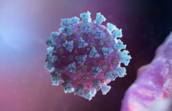 🔴 На Ямпільщині виявлений п’ятий випадок коронавірусу