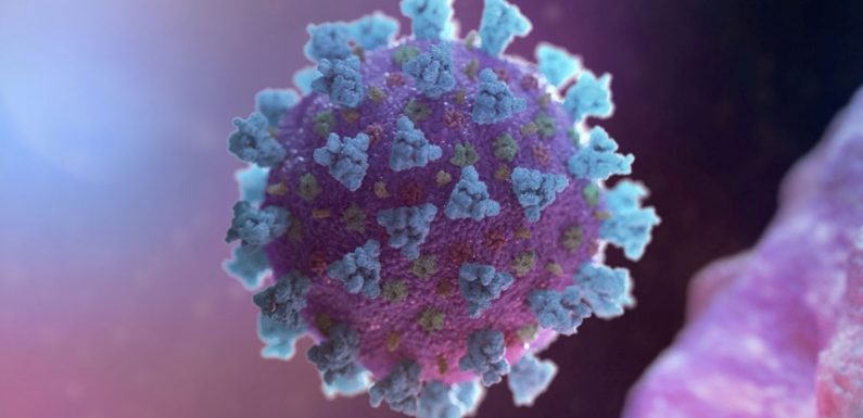 На Ямпільщині за добу два нові випадки коронавірусу