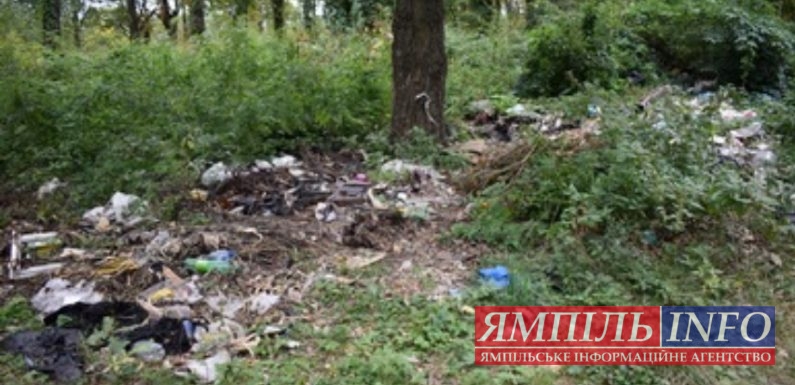 В Свеській громаді тривають роботи з ліквідації сміттєзвалищ 