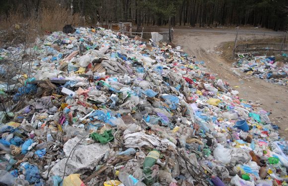 В Ямполі кинули напризволяще селищне сміттєзвалище (фото, відео)
