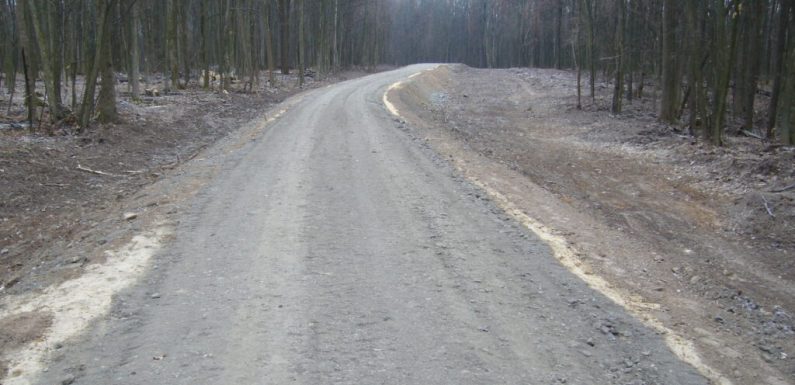 Свеський лісгосп за рік побудував 2,2 км лісових доріг