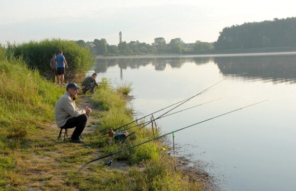 Чи можна рибалити на орендованих ставках на території Ямпільської громади?