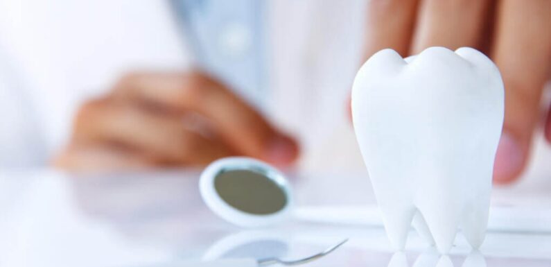 🔴 Затверджені нові тарифи на стоматологічні послуги в комунальних закладах охорони здоров’я на Сумщині. Скільки доведеться заплатити за лікування?