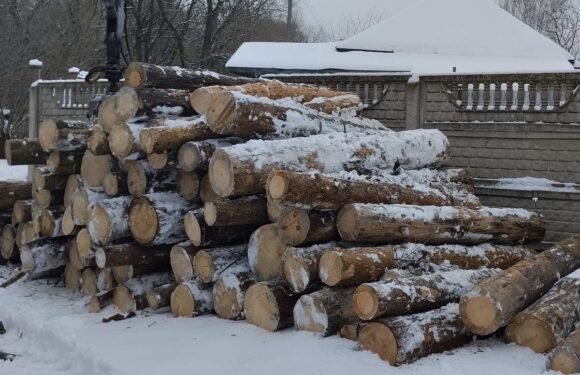 Мешканцям Свеської громади почали розвозити дрова від держави, – селищна рада