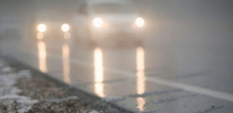В найближчу годину та до ранку на Сумщині очікується густий туман