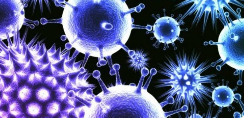 🔴 Які інфекційні хвороби були виявлені на Ямпільщині за тиждень?