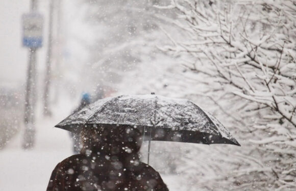 Мокрий сніг з дощем прогнозують синоптики до кінця робочого тижня