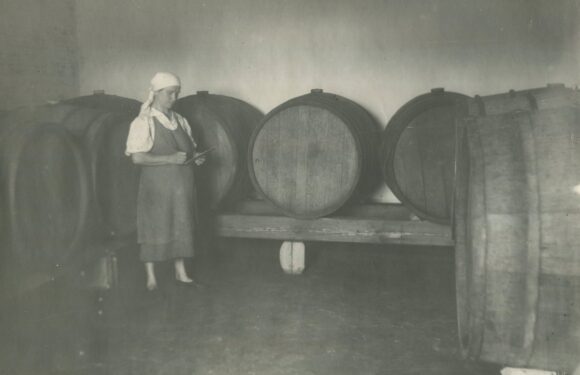 До 1975 року у Воздвиженському працювала виноробня
