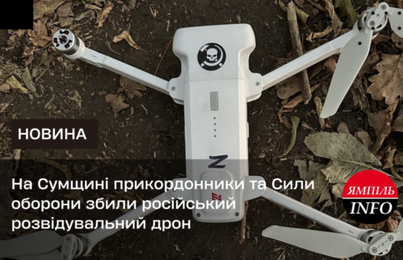 На Сумщині прикордонники та Сили оборони збили російський розвідувальний дрон