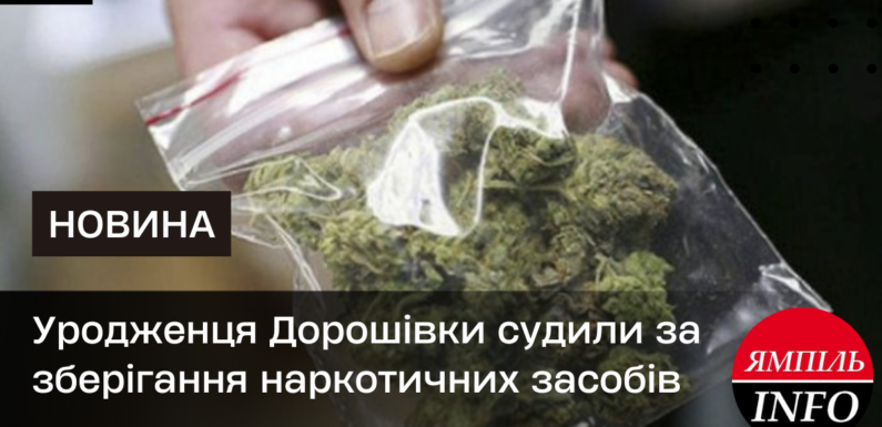 Уродженця Дорошівки судили за зберігання наркотичних засобів 